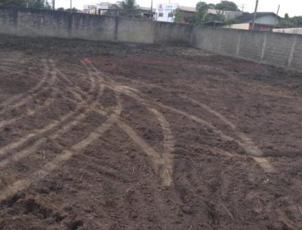 Depois/ Limpeza de terreno